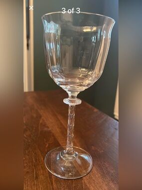 Southern Living Water Goblet NEW